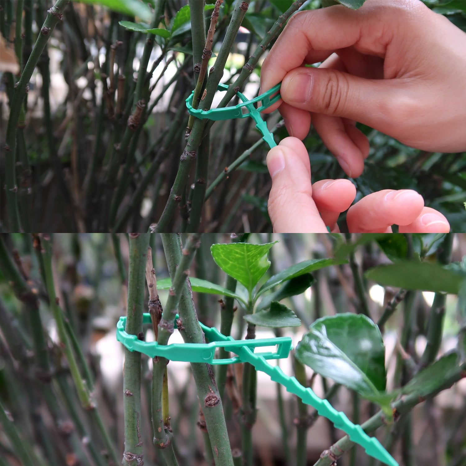 Attaches réglables pour plantes, 20 pièces, attaches flexibles pour plantes de jardin, attaches torsadées multifonctions pour plantes, 22cm - 7