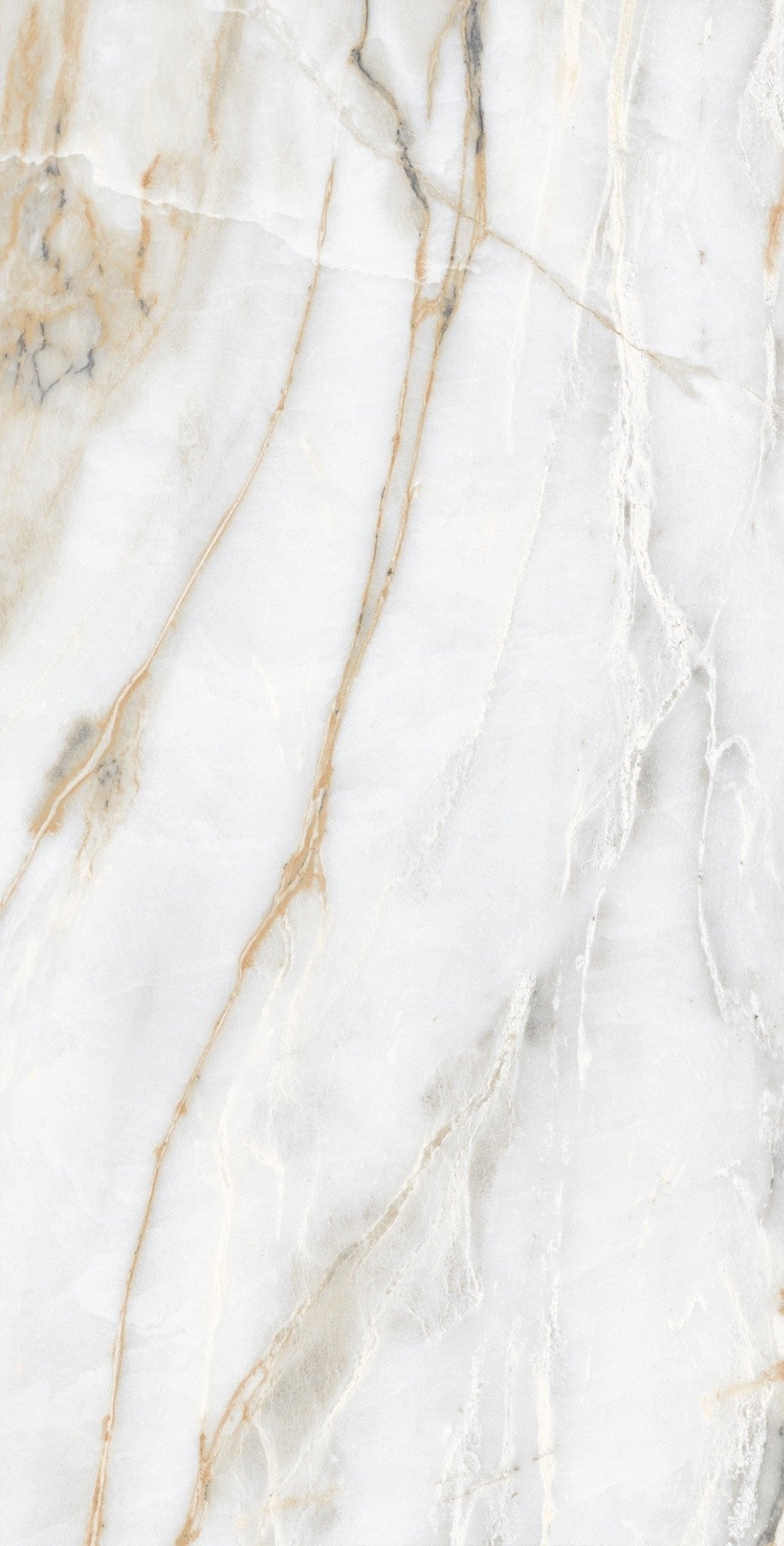 Carrelage sol / mur effet marbre blanc CHINA GOLD l.60 x L.120 cm Brilliant LIMCARO - 3