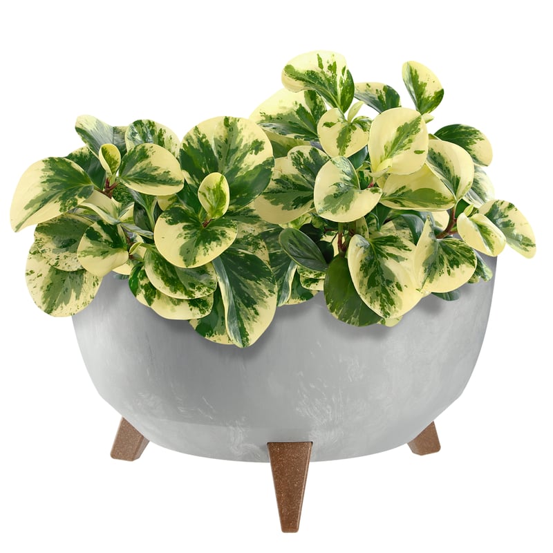 DONICZKA DONICA NA KWIATY 40cm OSŁONKA + WKŁAD NÓŻKI KOREK KWIETNIK SZARY