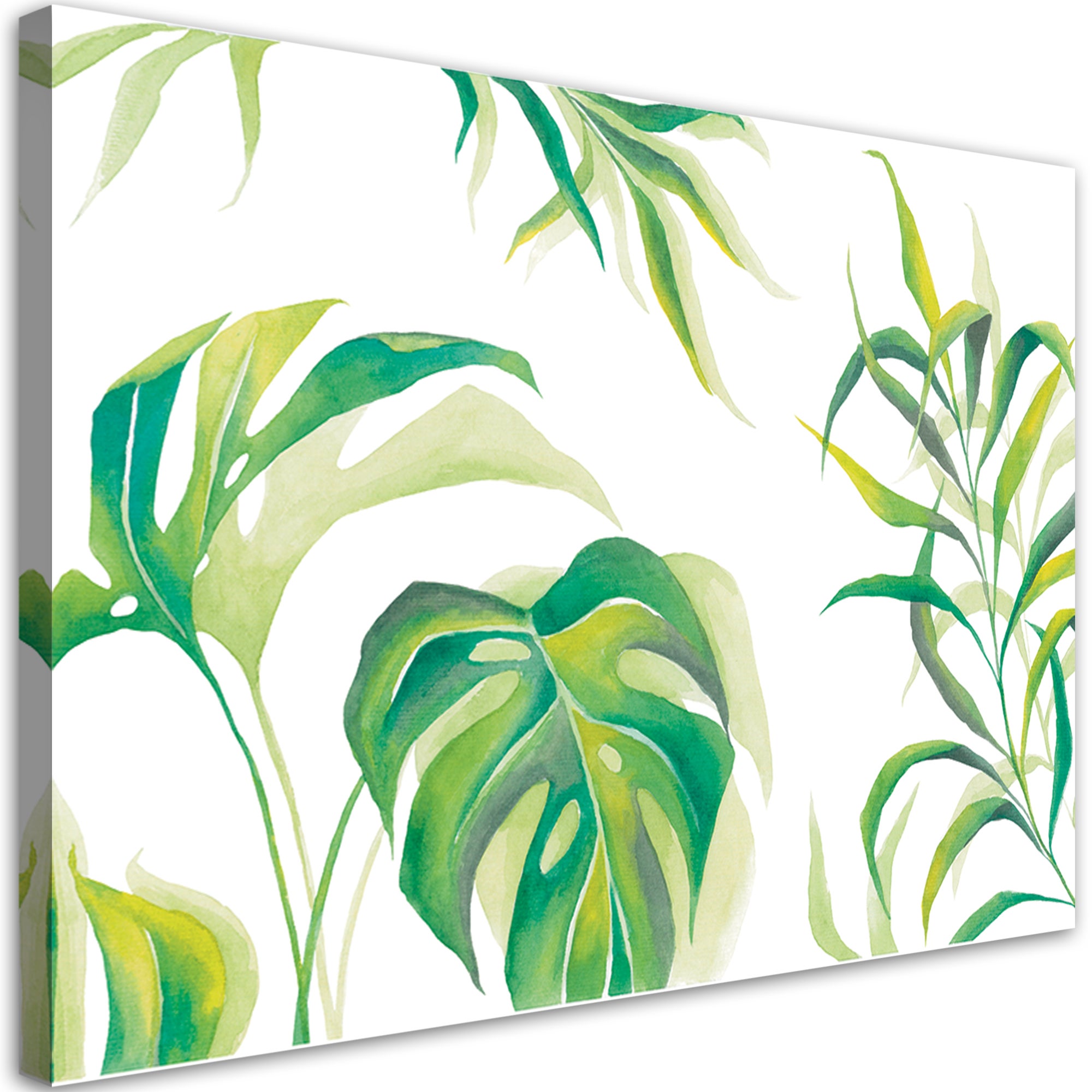 Obraz na płótnie, Liście Monstera 60x40