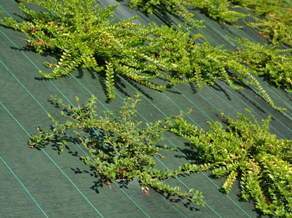 Toile de paillage - Vert - 100gr/m² - Plié Pliés 1.25m x 100m Vert - 4