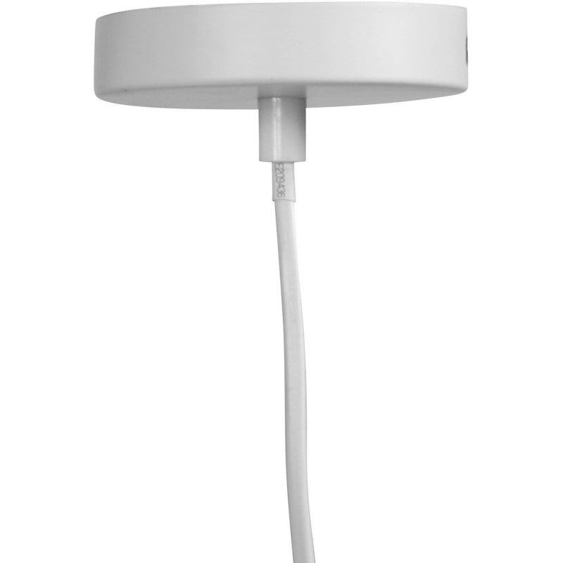 Suspension Calathéa Dorée - Ostaria - 5