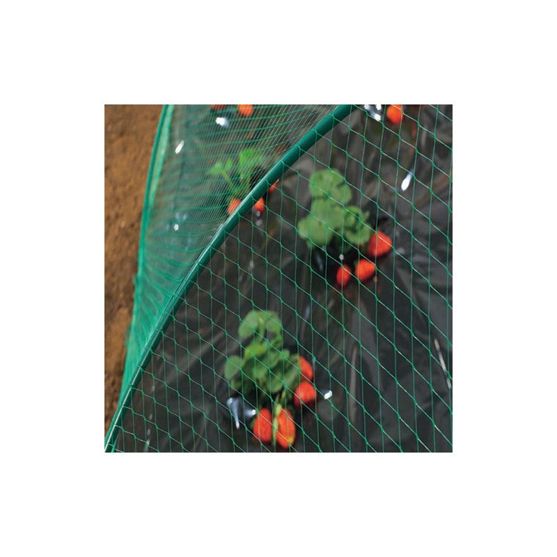Filet de protection oiseau - Nortene - 6