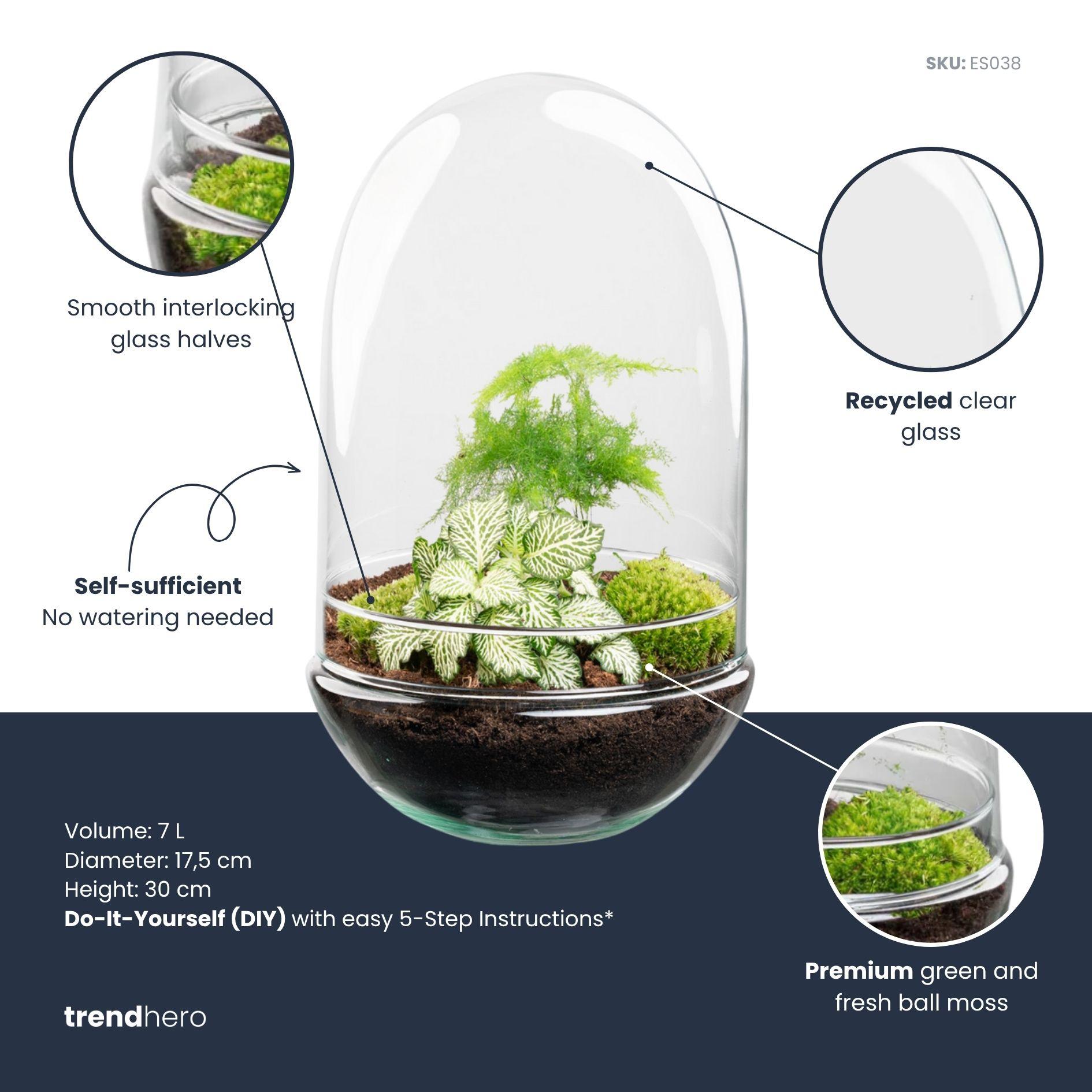 Terrário DIY Egg XL - 30 cm - Mini-Ecossistema Autônomo - 3