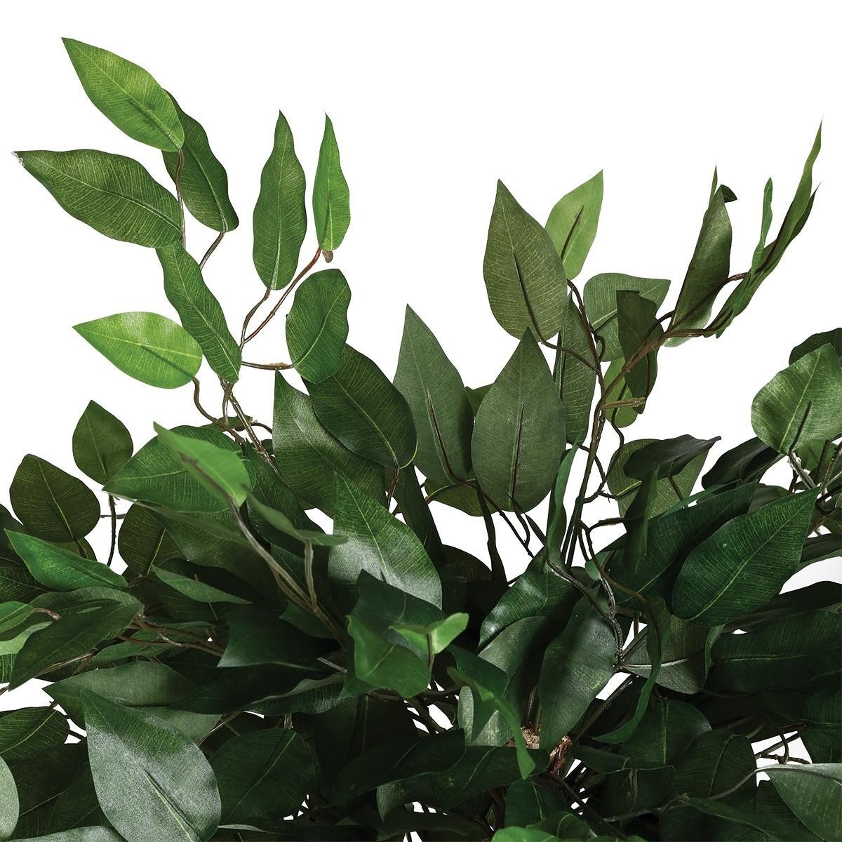Atmosphera - Ficus artificial A. 120 cm - 2