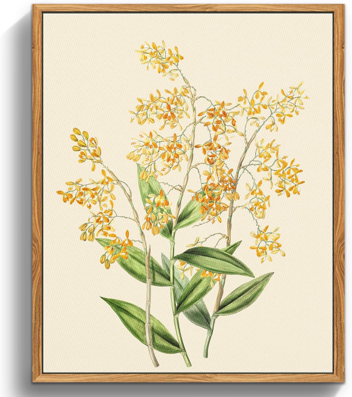 Botaniczny wydruk na płótnie w stylu vintage, 30x40 cm, obraz ścienny, żółta orchidea, dekoracja sypialni, biura, salonu, bez ramy