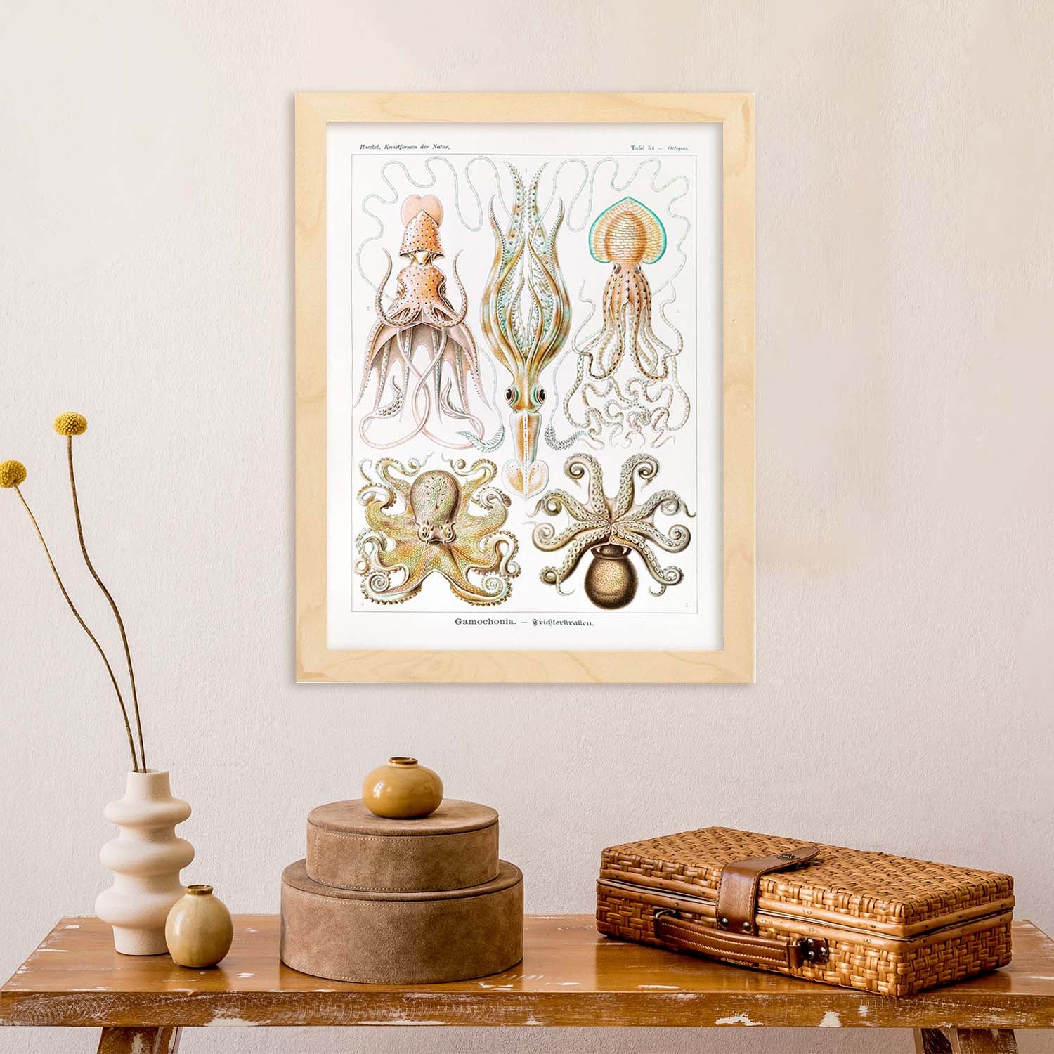 Lamina Artistica Decorativa Con Ilustracion De Gamochonia Estilo ...