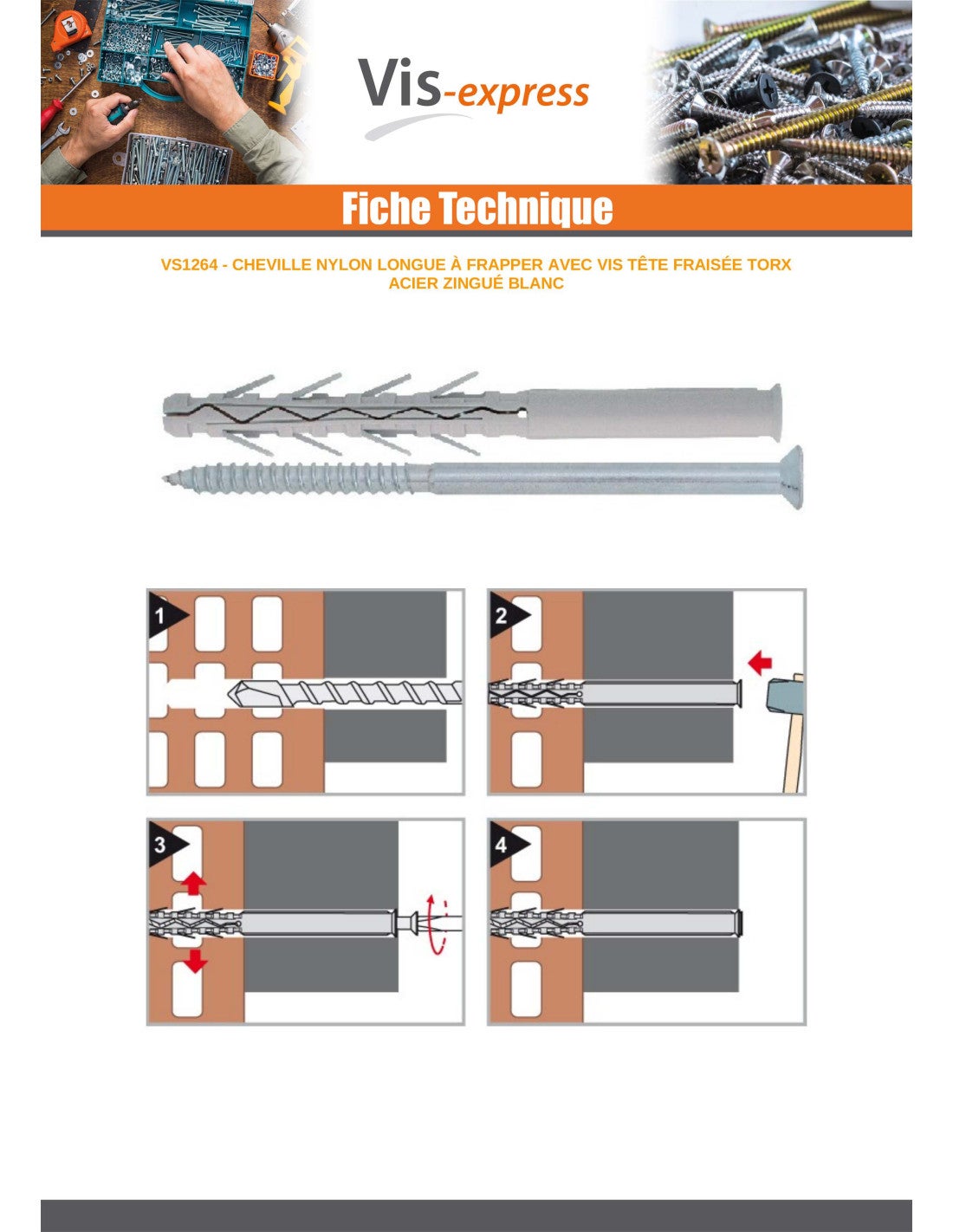 Cheville Longue Nylon 10X200 + Vis Tête fraisée TF TORX Acier zingué-1 piece - 4