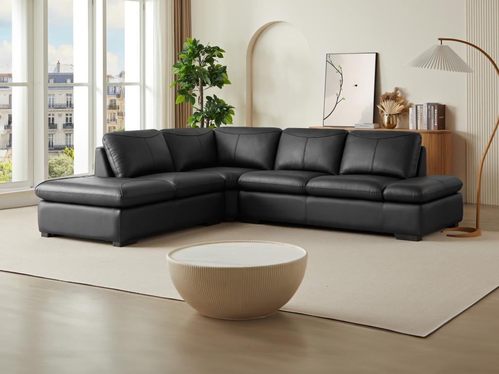 Canape D Angle En Cuir