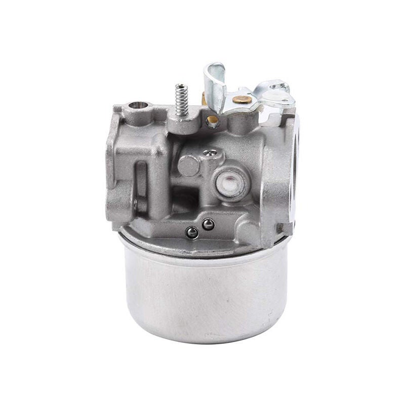 Carburateur compatible avec la plupart des moteurs briggs & stratton (798654 792970 150000). - 5