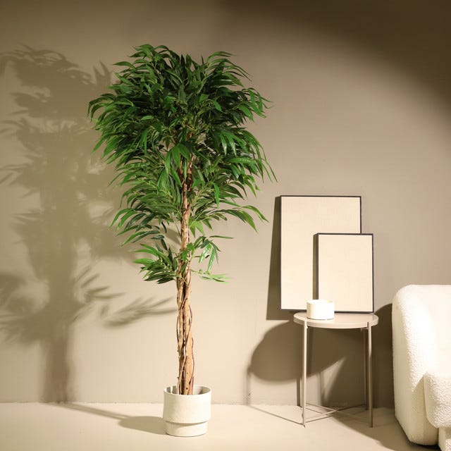 Ferrgoal Piante artificiali, albero di dracaena da 1,8 m, piante finte per interni ed esterni, albero finto con cesto di alghe marine intrecciate, piante per la decorazione della casa, ufficio Ferrgoal Piante artificiali, albero di dracaena da 1,8 m, piante finte per interni ed esterni, albero finto con cesto di alghe marine intrecciate, piante per la decorazione della casa, ufficio