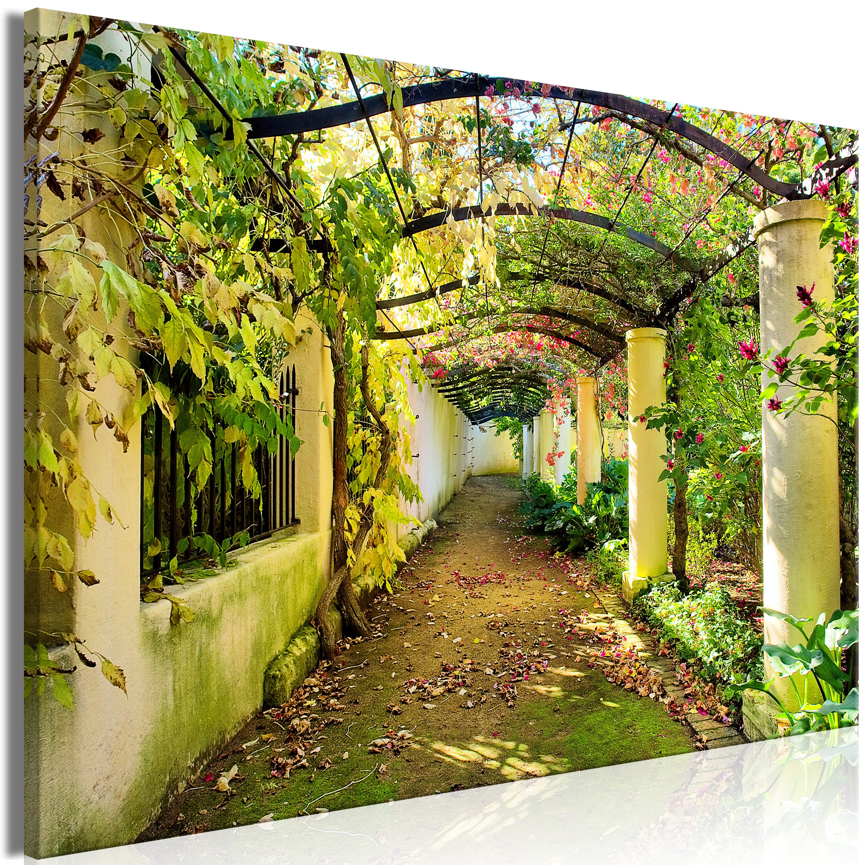 Tableau - Pergola (1 Part) Wide [30x20] | Leroy Merlin