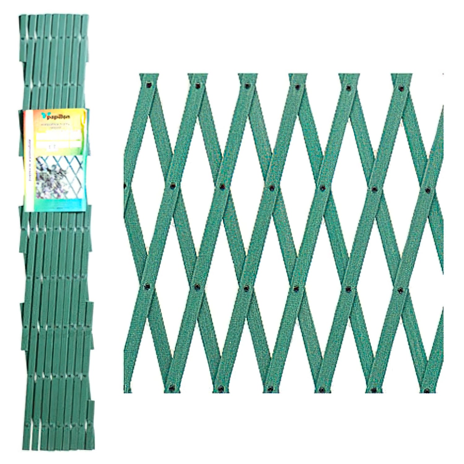 TRALICCI ESTENSIBILI VERDI 2X1 - 3