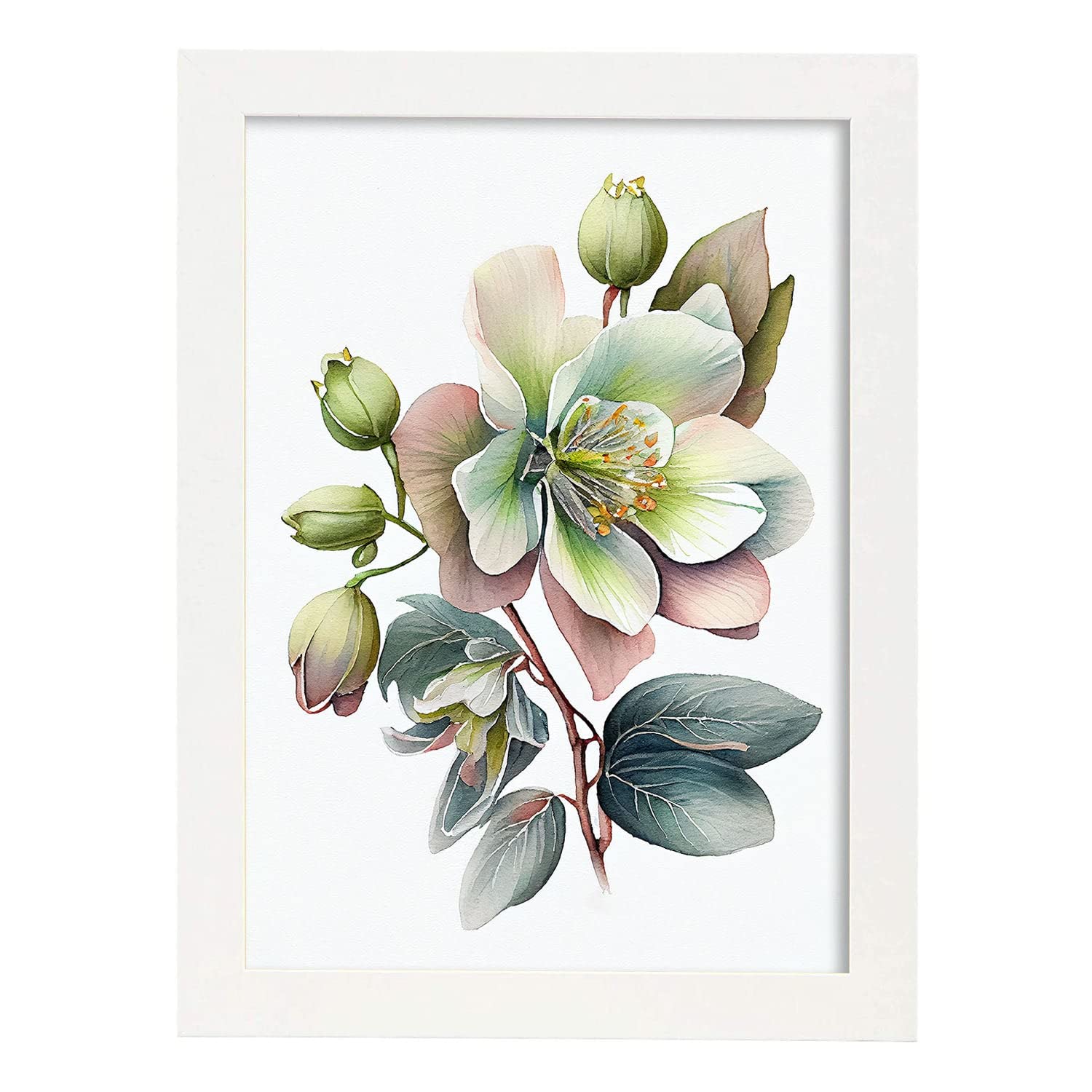Nacnic poster de eléboro estilo nórdico ilustraciones de botánica con flores y plantas en acuarela diseño moderno y modelo 2 a3 con marco blancos