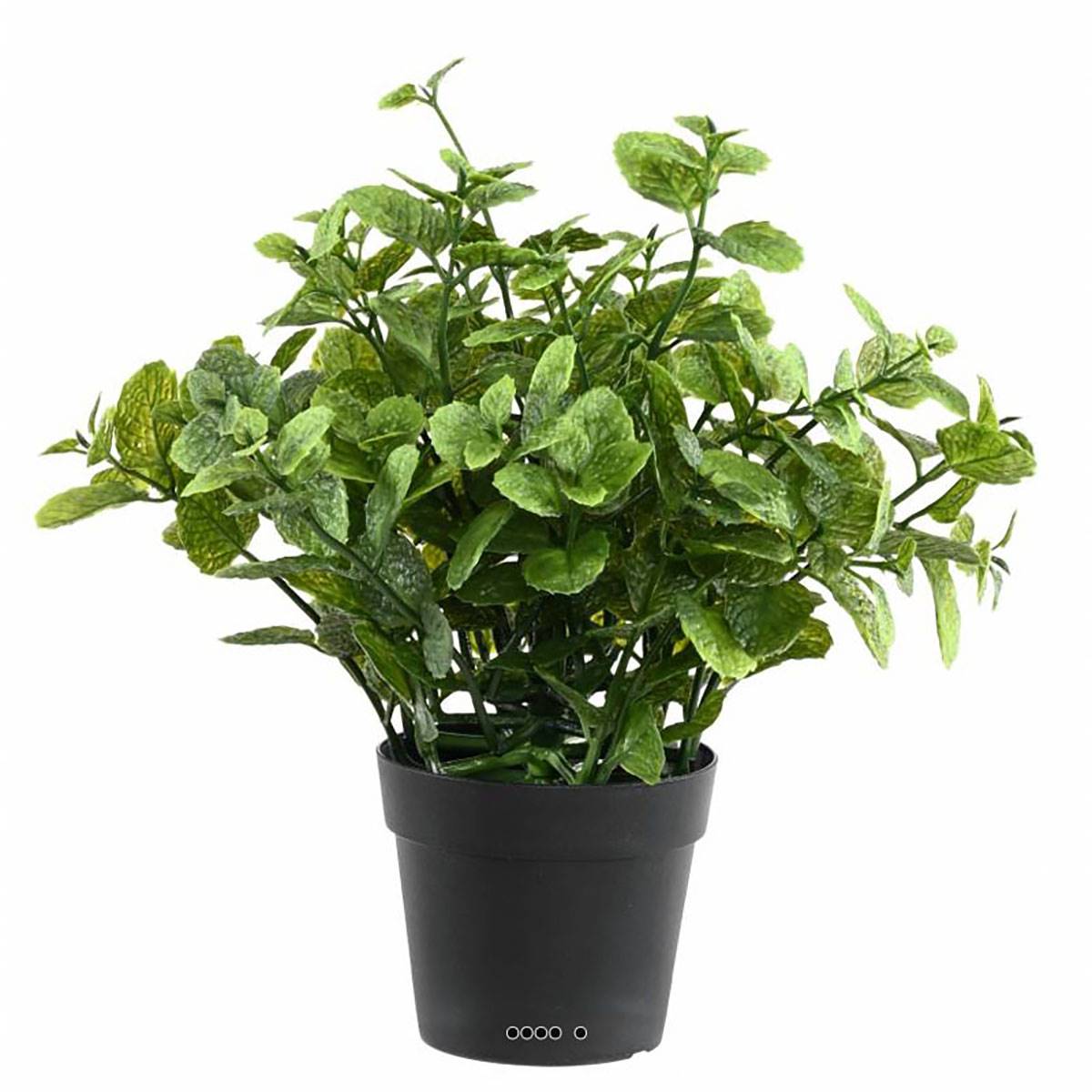 Menthe artificielle en pot pour extérieur H 25 cm Leroy Merlin