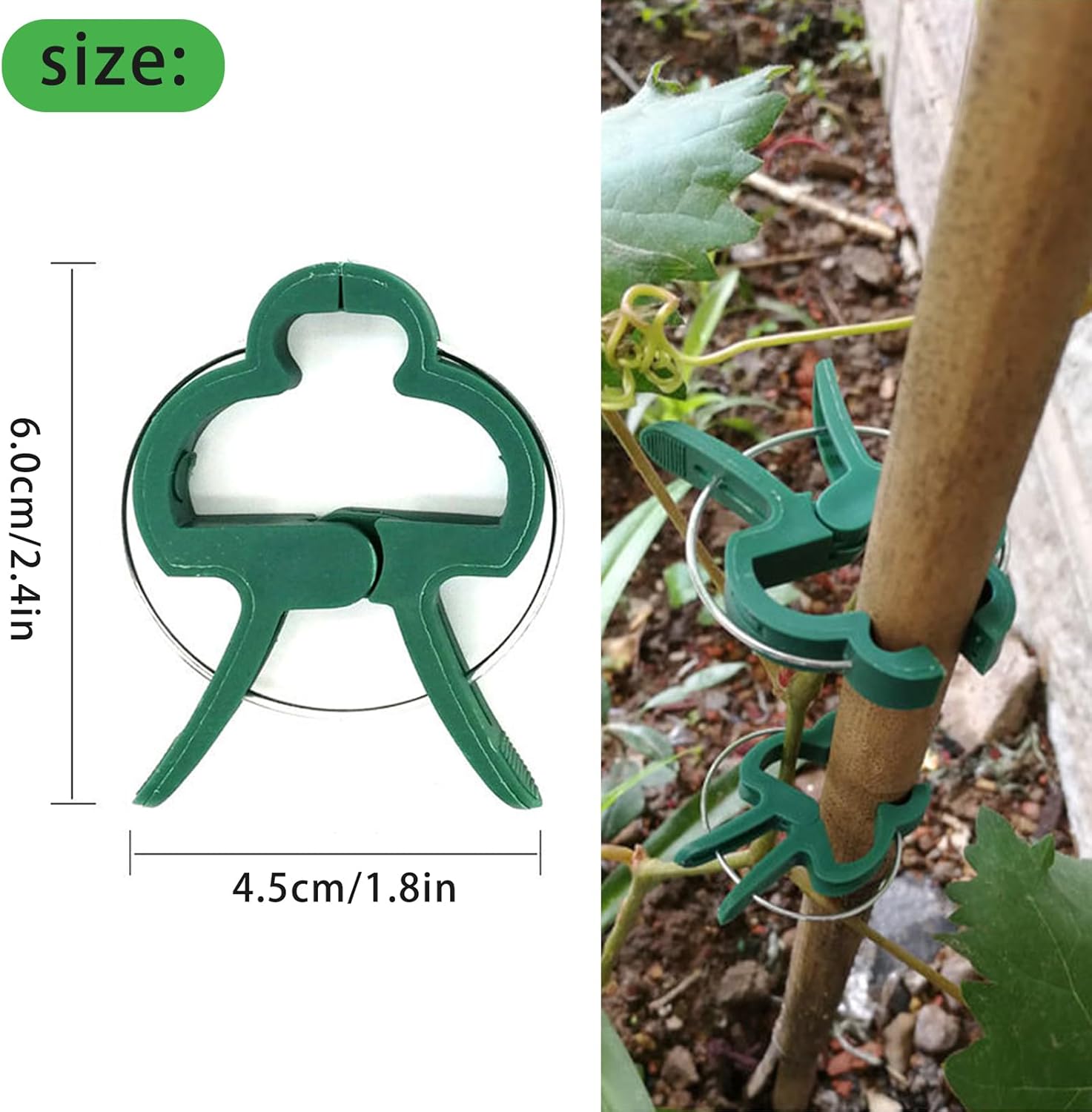 Clip per piante per piante rampicanti per pomodori, rose, cetrioli e