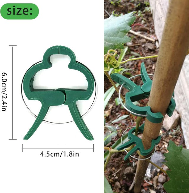 Clip per piante per piante rampicanti per pomodori, rose, cetrioli e Clip per piante per piante rampicanti per pomodori, rose, cetrioli e