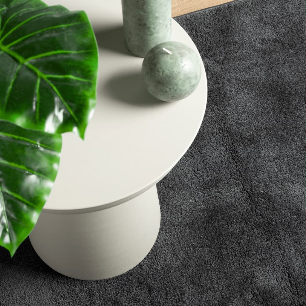 vidaXL Tapis OVIEDO à poils courts anthracite 200x200 cm - 7