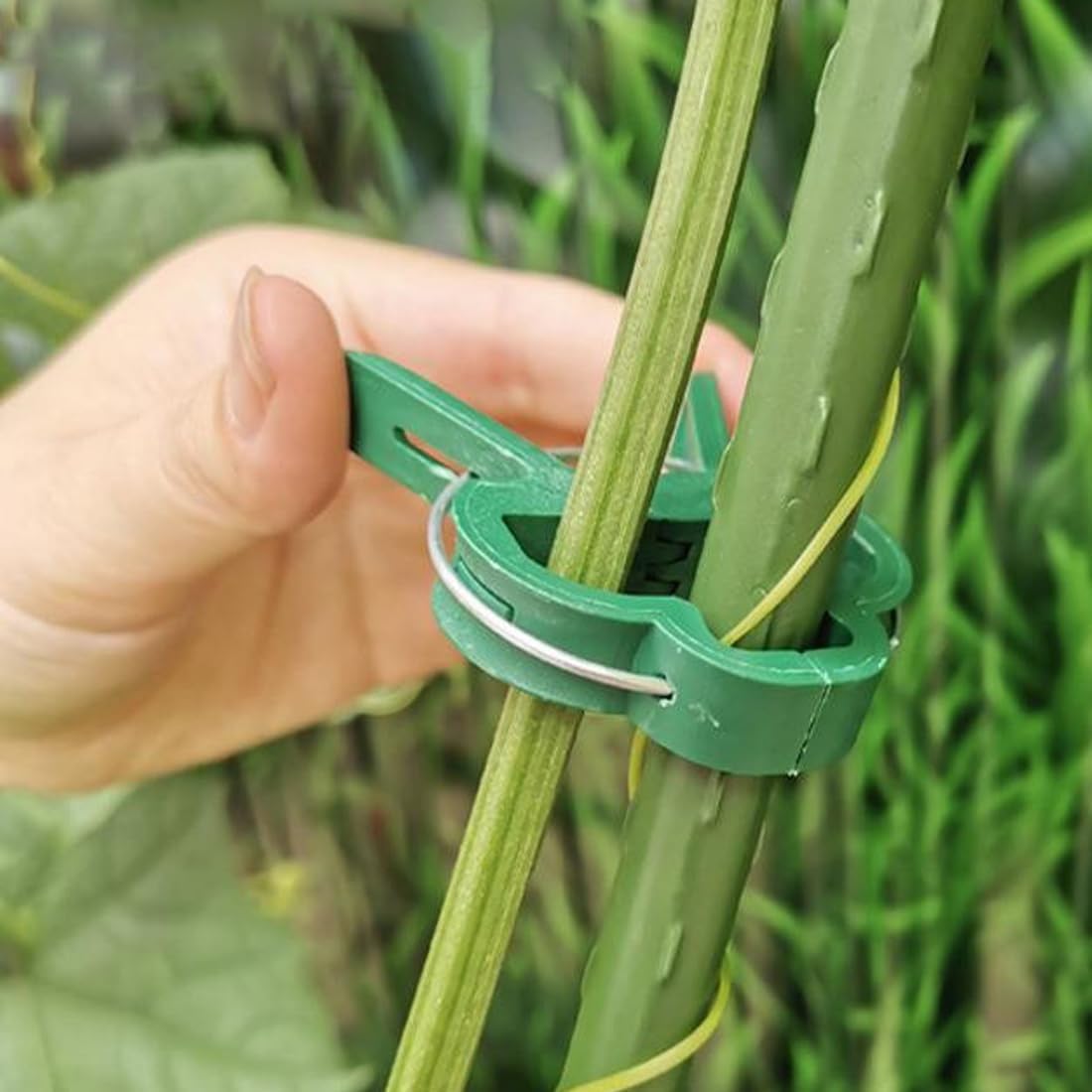 20Pcs Clips pour Plantes, Clips de Tomates, Clips de Support pour Plantes, Planter de Clips Tomates de Jardin, Pinces à Plantes Réutilisable Attache - 5