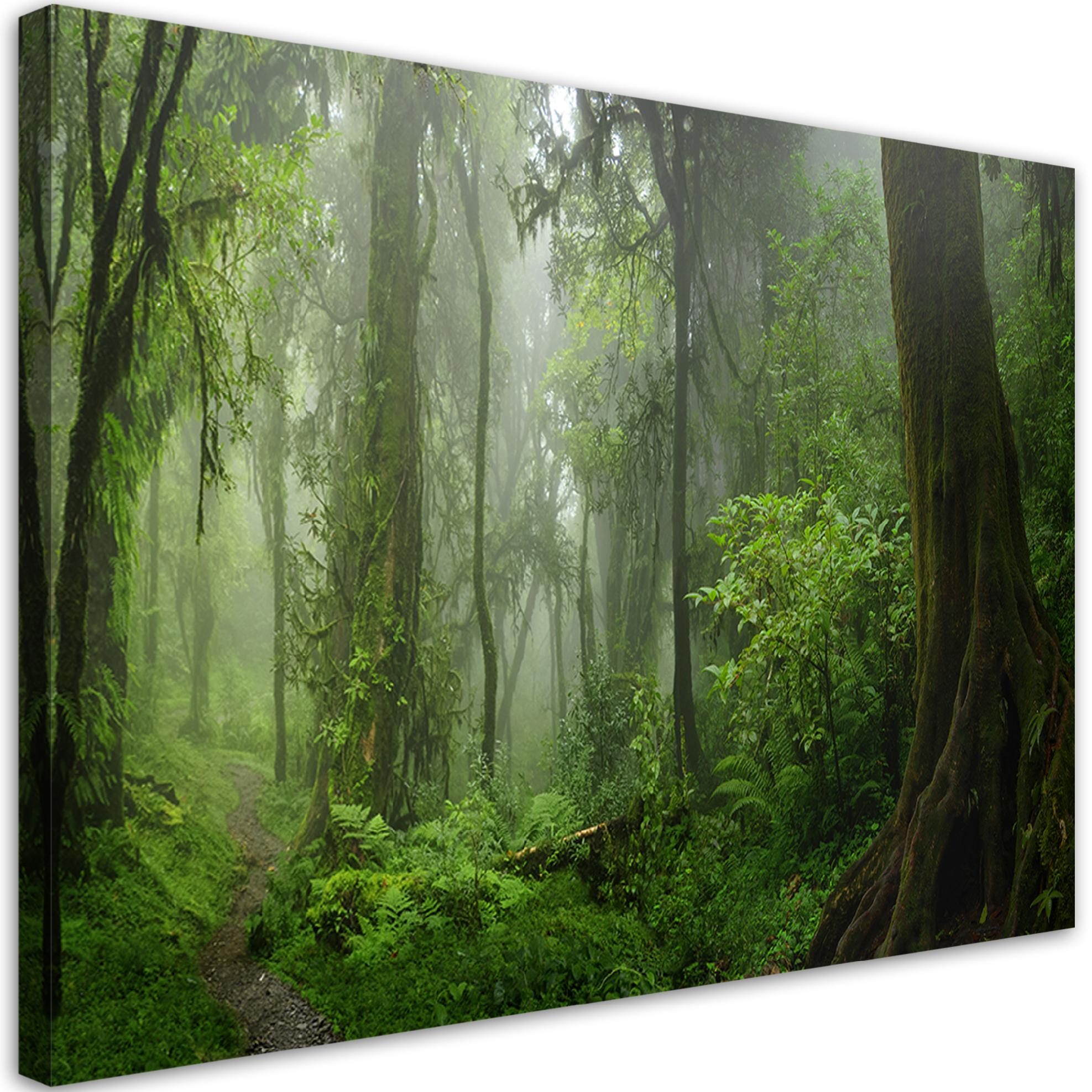 Obraz na płótnie, Tropikalny las dżungla 90x60