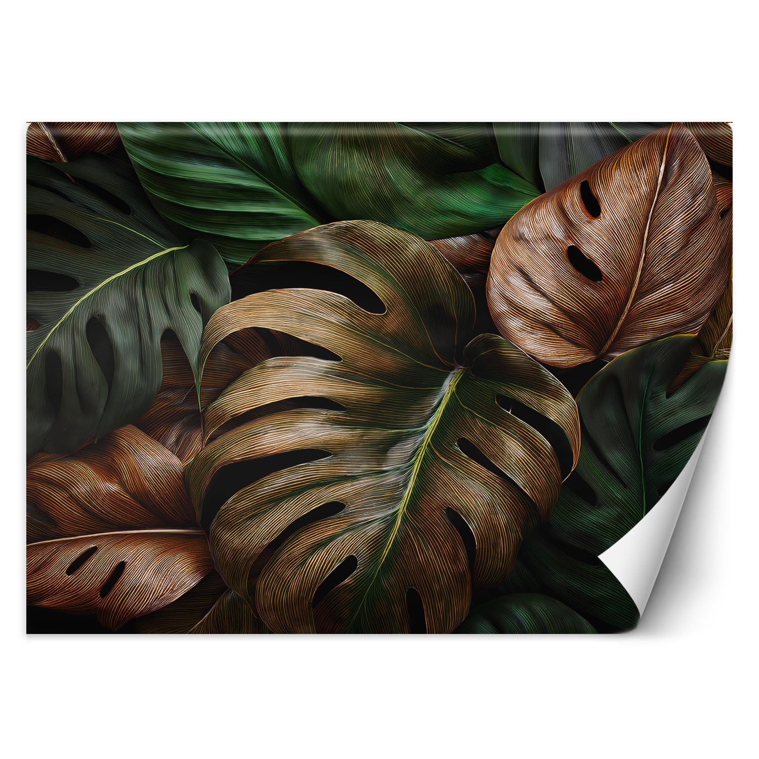 Fototapeta, Liście Monstery W Naturalnych Kolorach 450x315