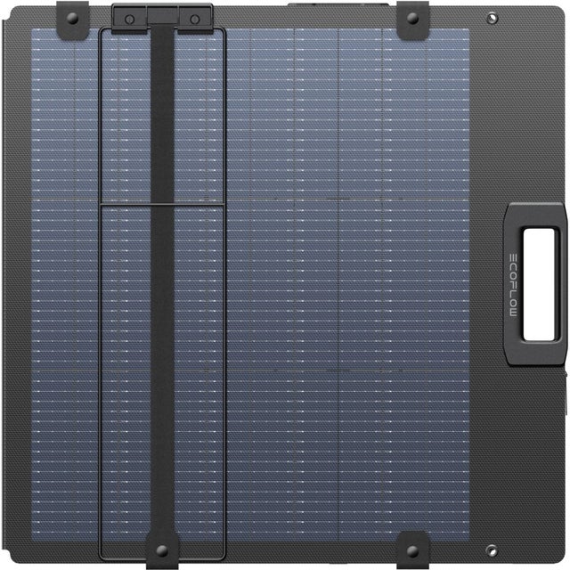 Panel solar ligero y portátil EcoFlow de 220 W