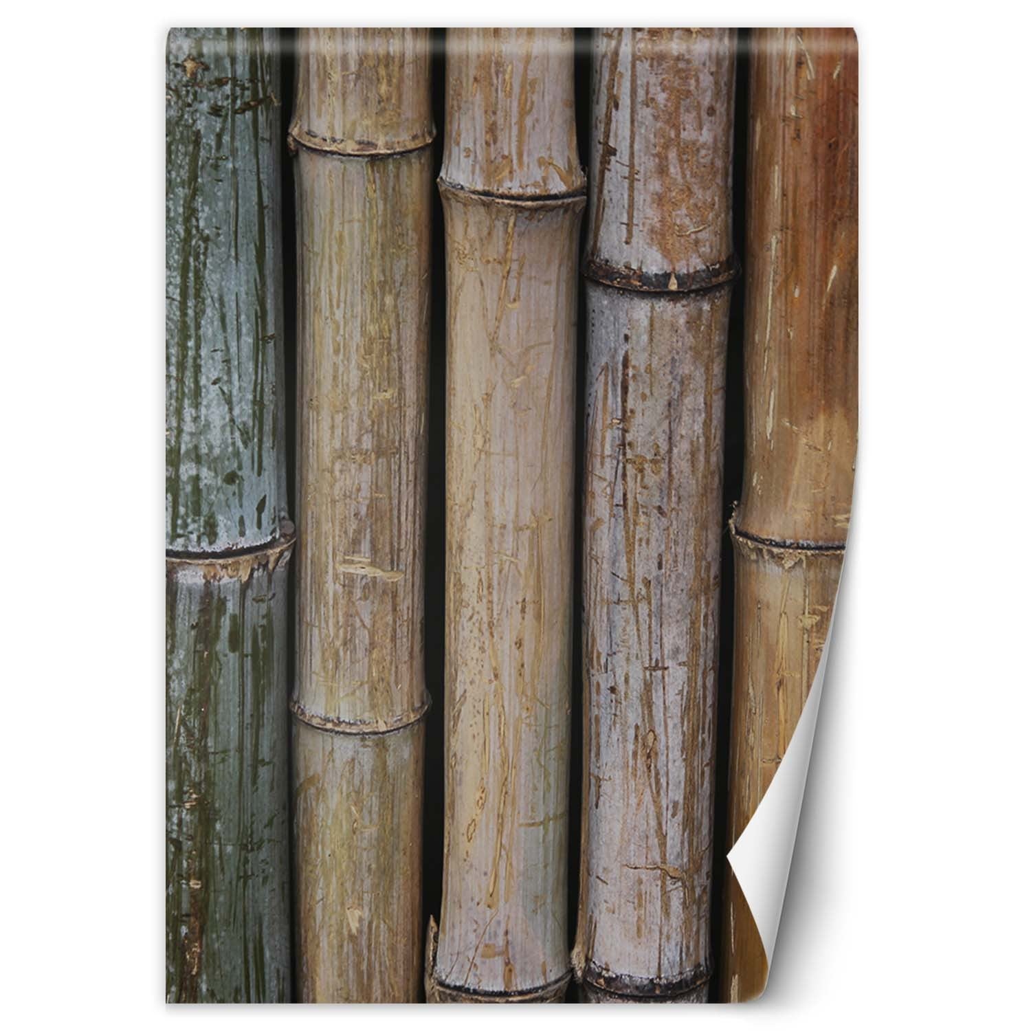 Fototapeta, Pastelowe łodygi babmusa 150x210