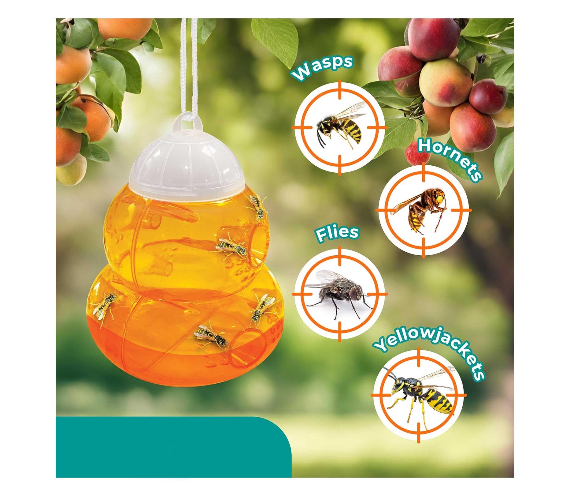 Piège à guêpes et frelons suspendu - Répulsif naturel contre les guêpes pour l'intérieur et l'extérieur (orange). - 4