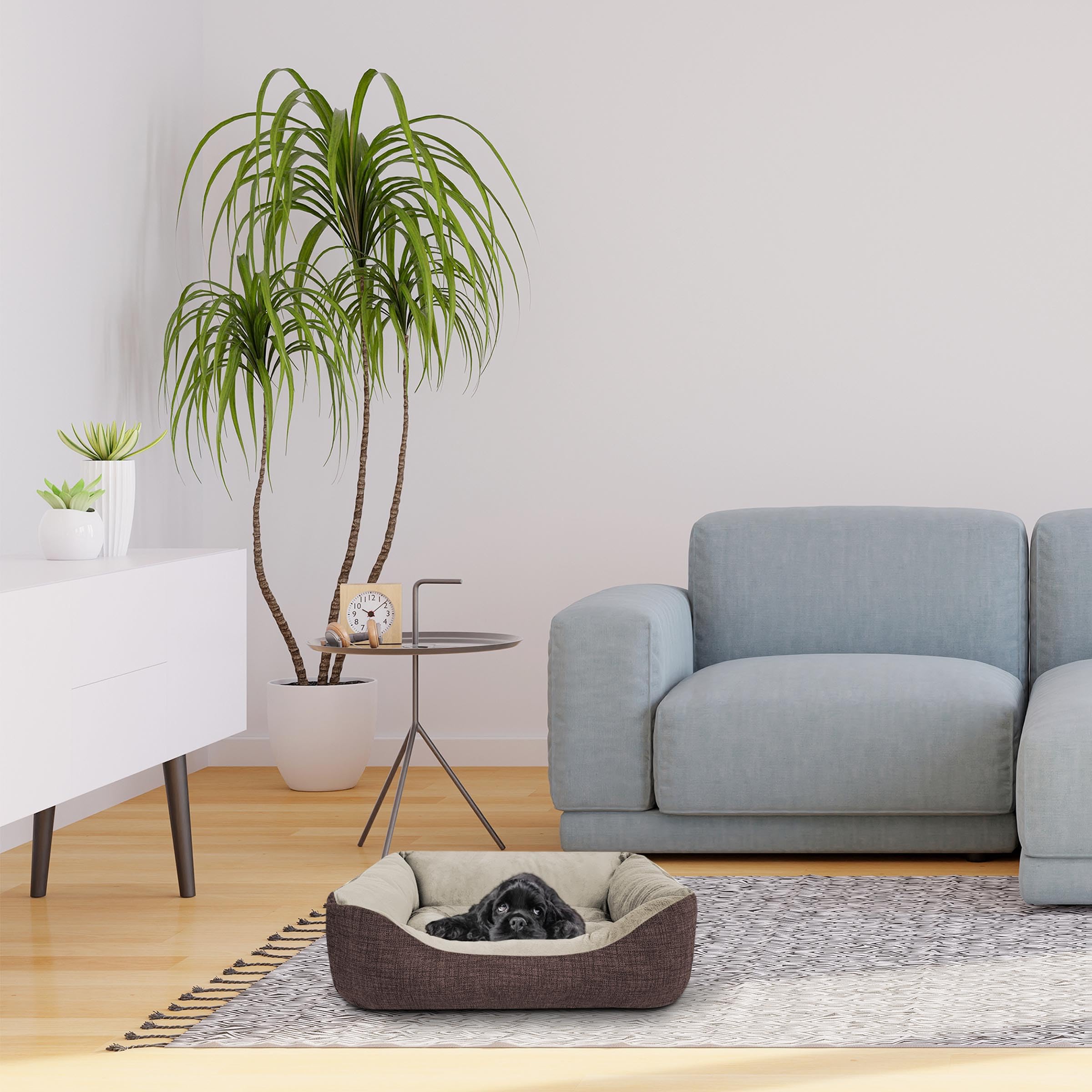 TIENDA EURASIA - Cama de Perro, Terciopelo, Interior de Fibras de Algodón, Mediana, Marron - 7