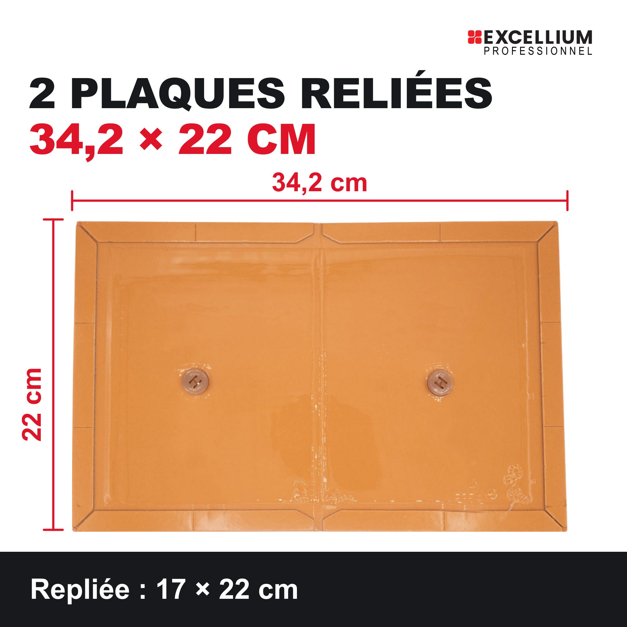 Produits Rats Plaques de glu rats et souris avec attractif, 2 plaques repliables ...
