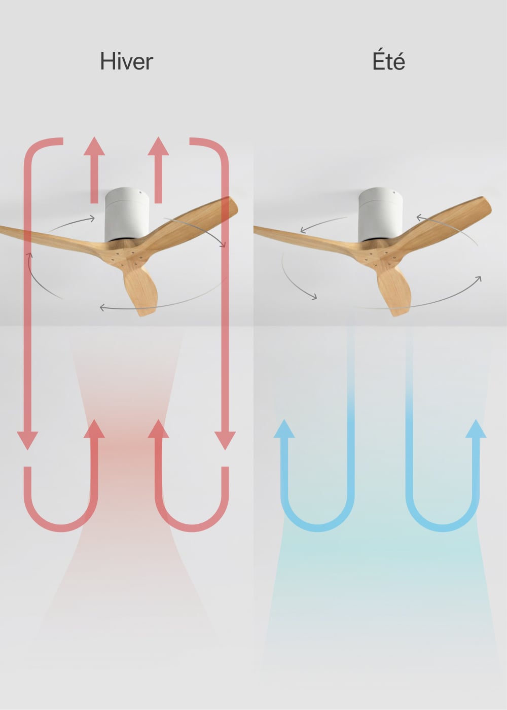 CREATE - WIND CALM S - Ventilateur de plafond silencieux 40W avec pales techniques en ABS Ø112 sans eclaraige sans wifi - 4