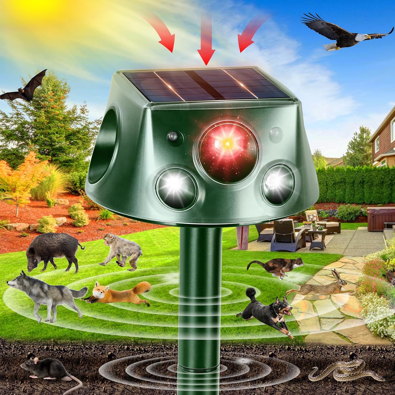 Repelente ultrasónico para gatos, 6 modos ajustables, carga solar y USB ...