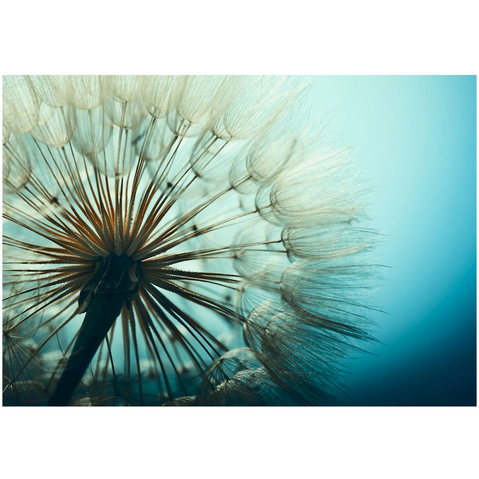 Papier peint adhésif La fascination des bleus - 147 x 105 cm - 2