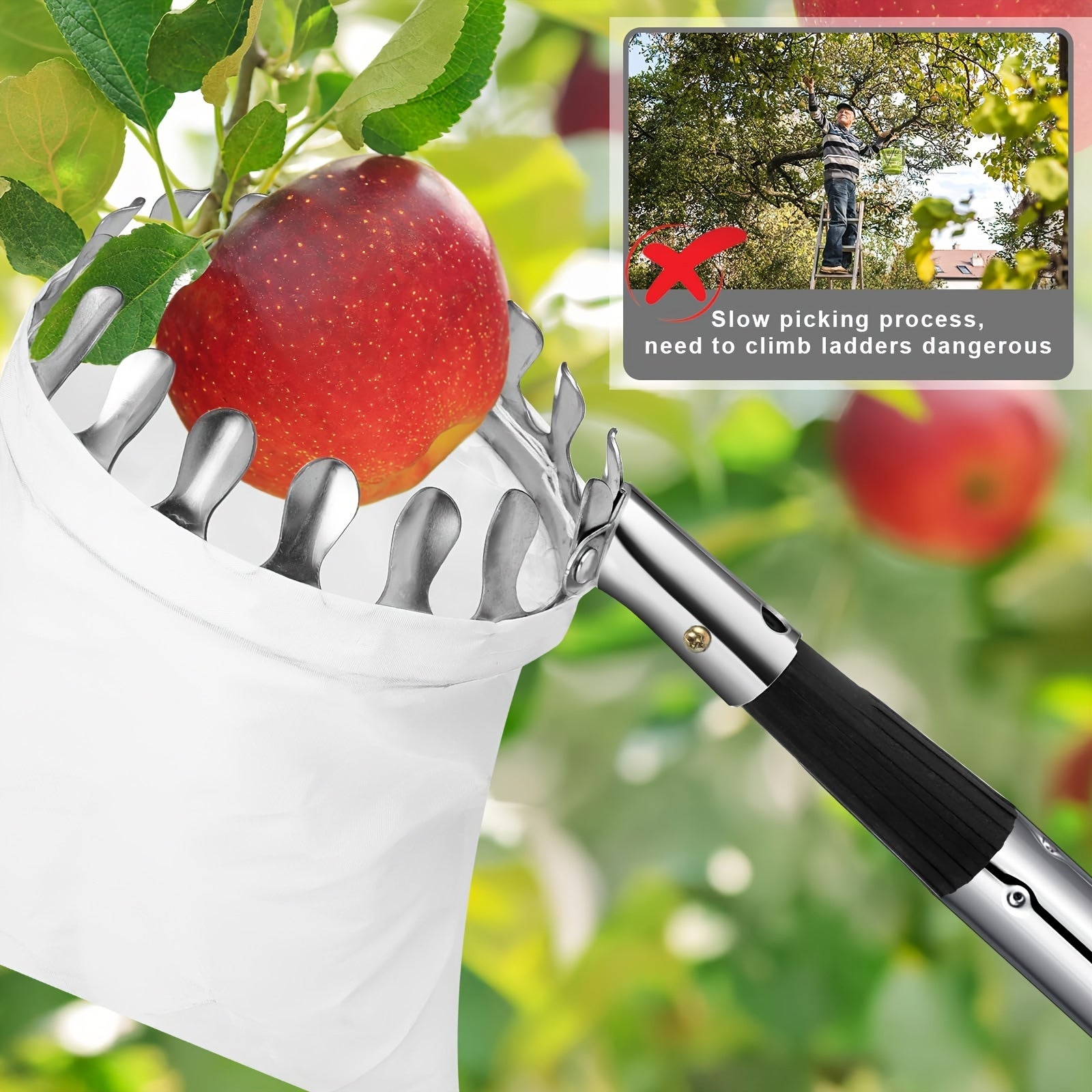 Perche Télescopique De Cueillette Réglable 2.5 à 10 M | Tige Acier Inox | Pour Fruits Haute Altitude, Élagage - 3