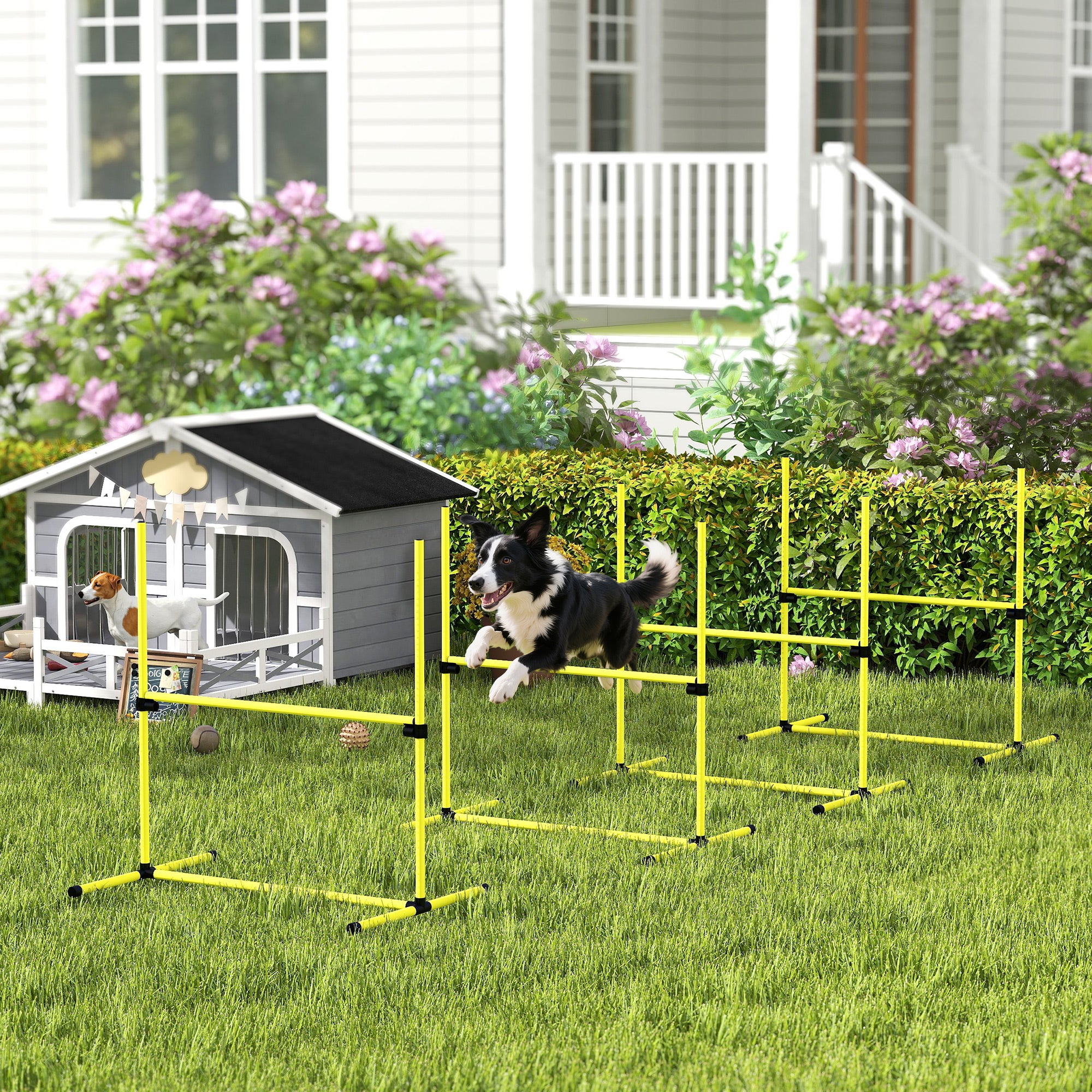 Ensemble d'agilité pour chien, haies/poteaux/piquets au sol, sac de ...