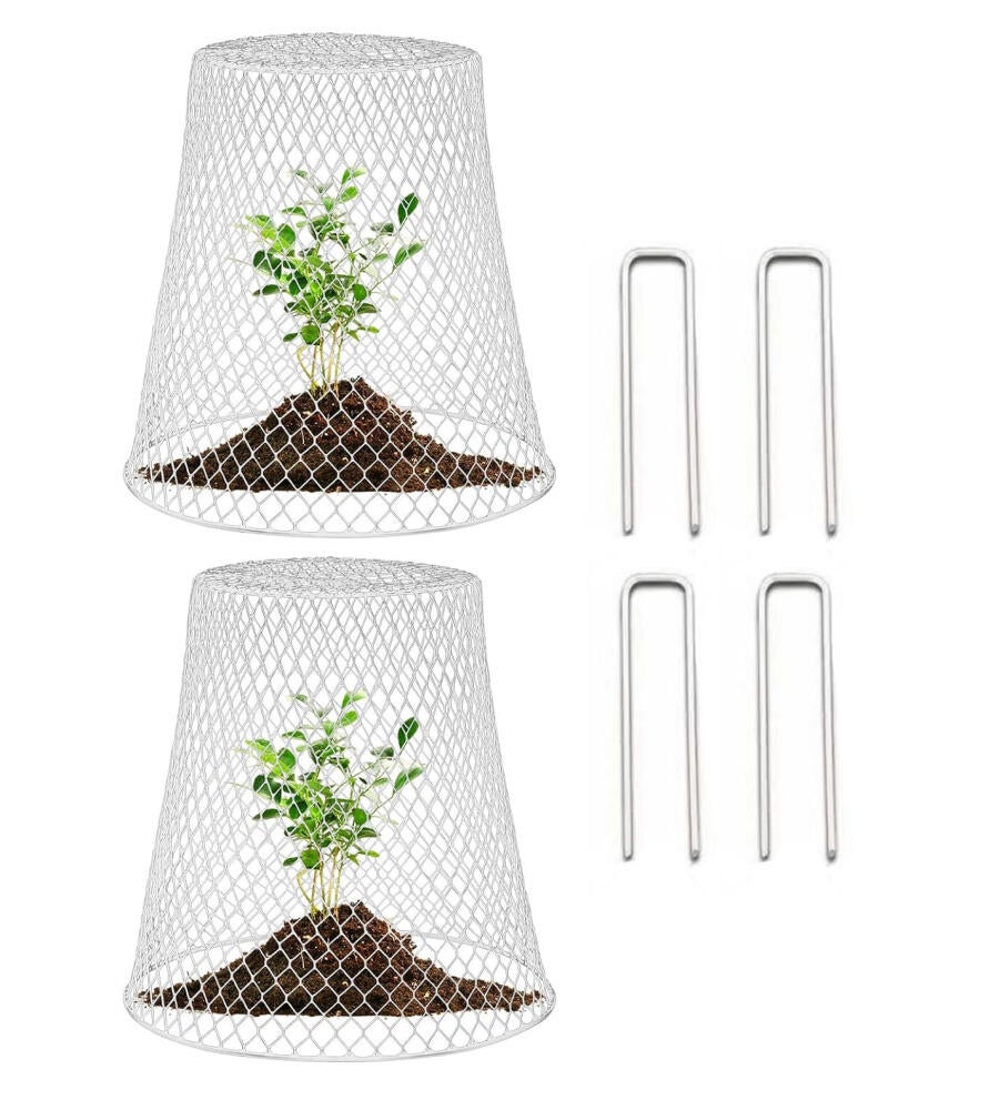 2 sztuki klosza ogrodowego, druciany klosz ogrodowy, klatka ochronna na rośliny, z 10 gwoździami w kształcie litery U, biały
