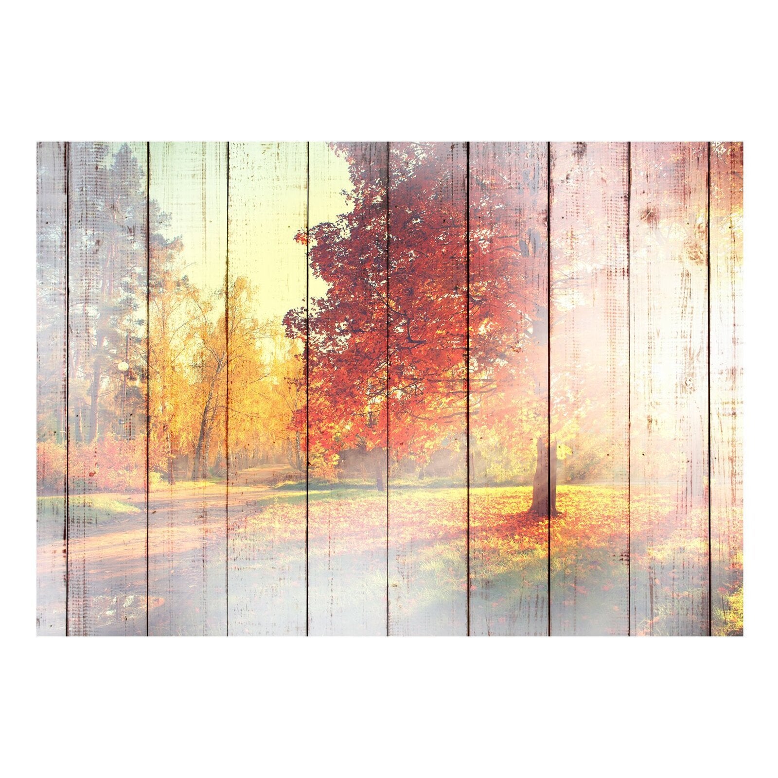 Papier peint soleil d'automne - 400 x 280 cm - 2