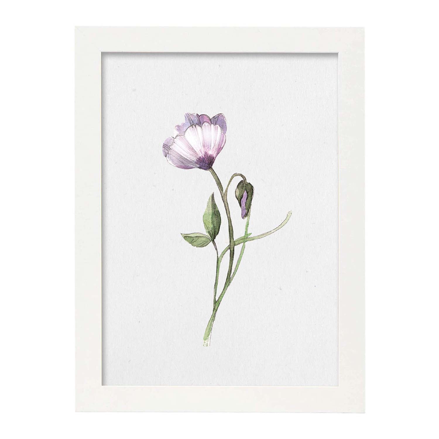 Poster de flores y plantas. lamina con estilo oleo, con imagenes de vegetacion, florales, y de plantas. marco negro - a3