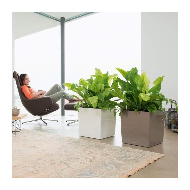 Pot de fleur LECHUZA Cube Premium 40 - kit complet, blanc brillant - 4