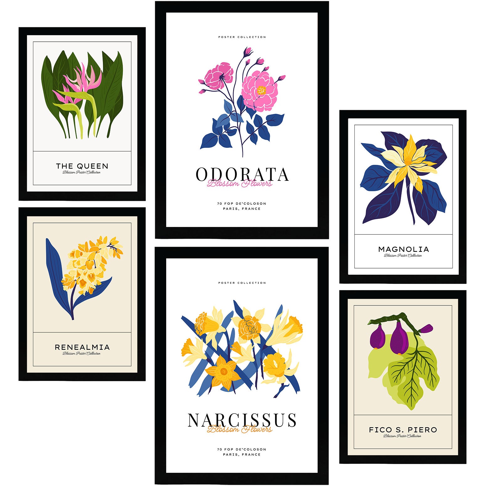 Nacnic set de 6 posters florales. narcisos. láminas de naturaleza y botánica para el diseño y decoración de interiores. tamaños a3 & a4, sin marcos.