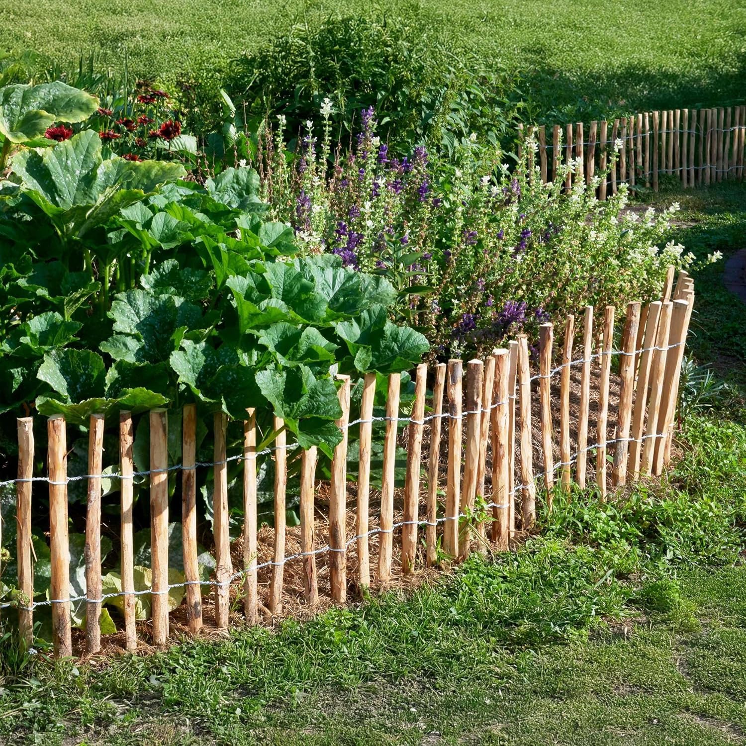 BOGATECO Clôture à piquets en bois de châtaignier noisetier 70 cm de haut x 500 cm de long | Espacement des lattes 4-5 cm | Durable - 11