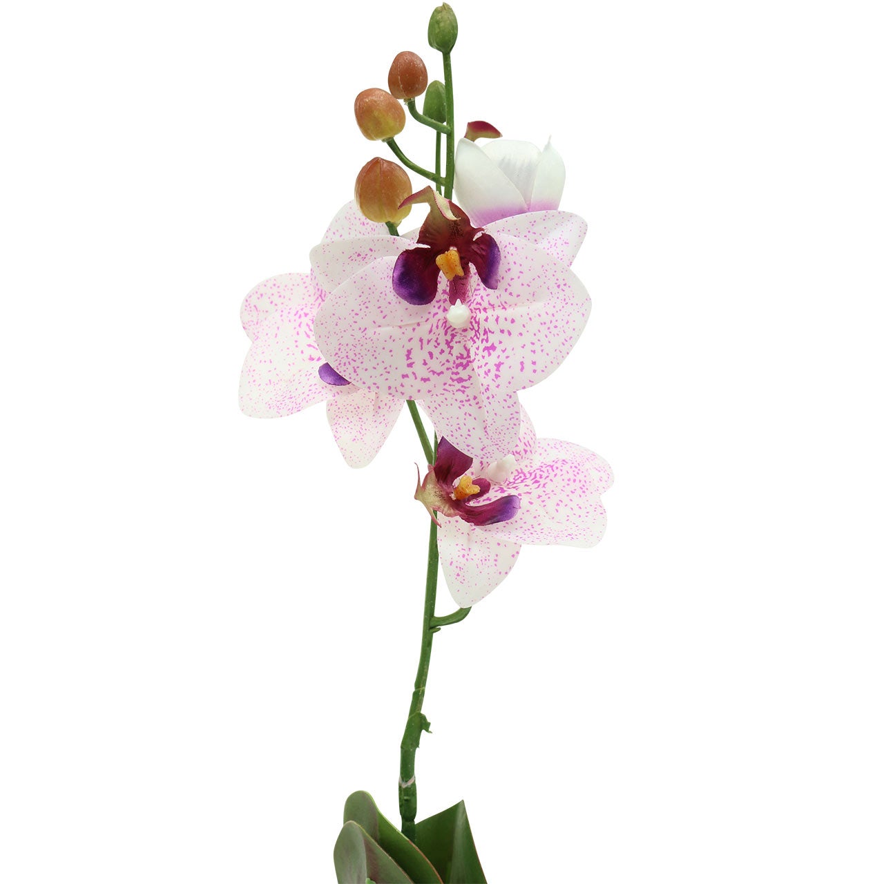 Orchidée Phalaenopsis artificielle | Leroy Merlin