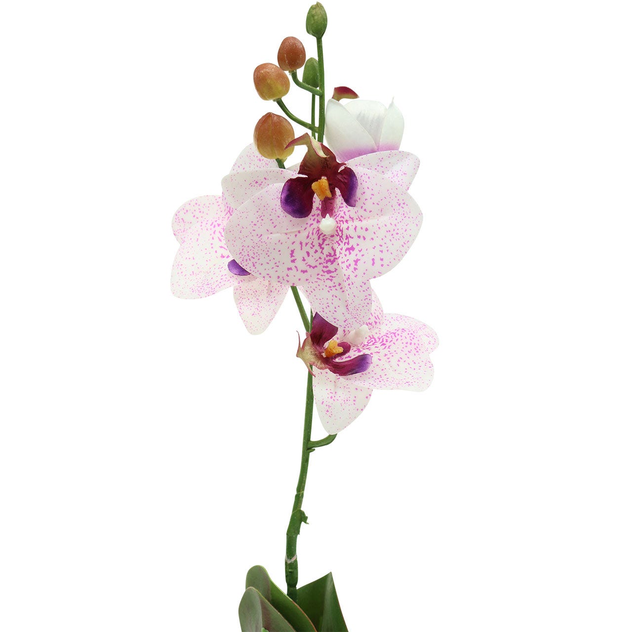 Ordhdee Orchidée Phalaenopsis artificielle | Leroy Merlin