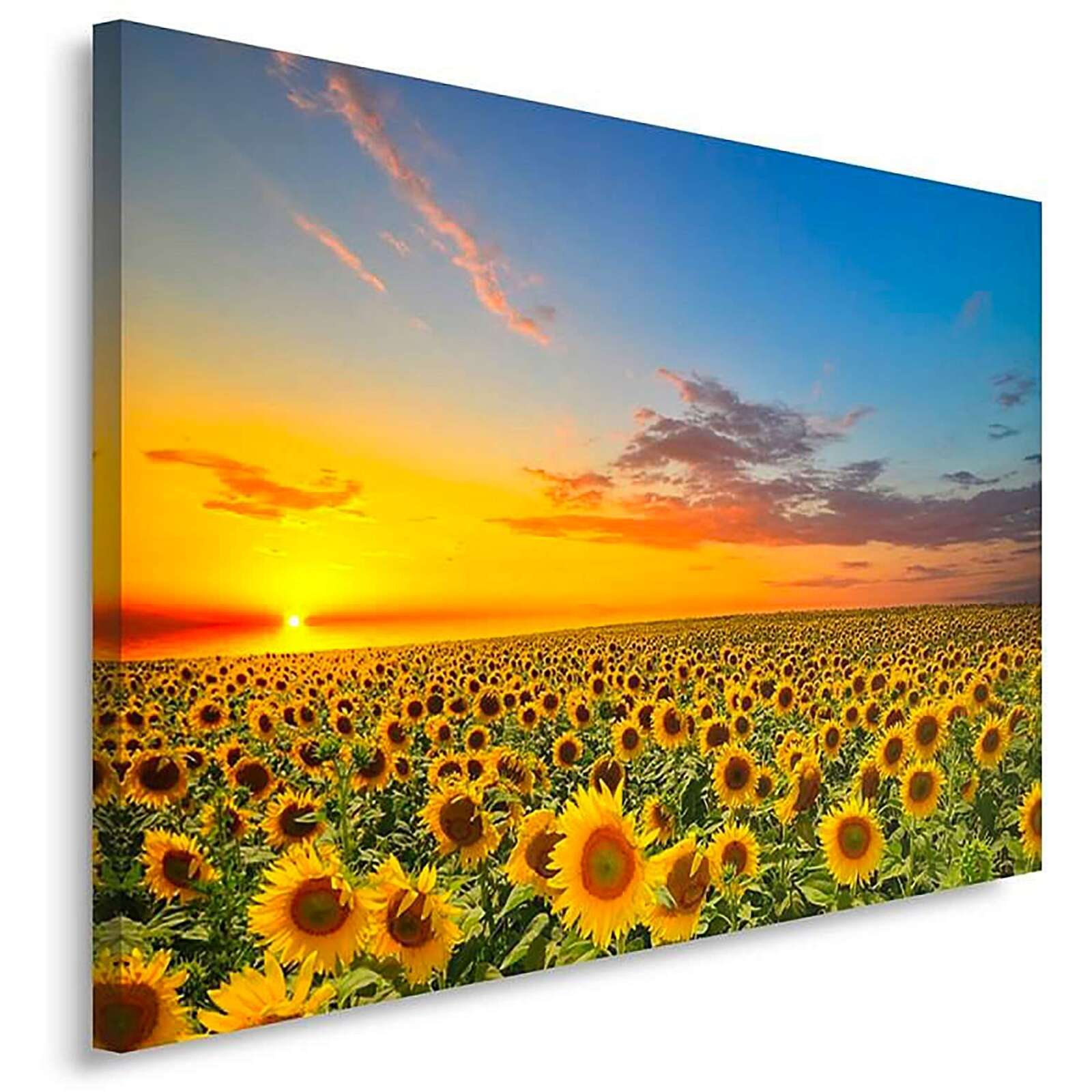 Tableau paysage tournesols - 50 x 40 cm - 2