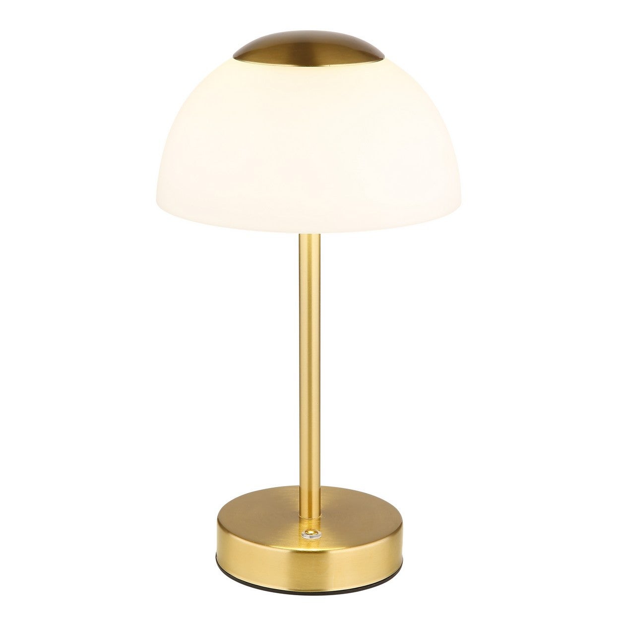 Lampe De Labo Inactinique FOMA LED OL-31 – Variateur – Occasion