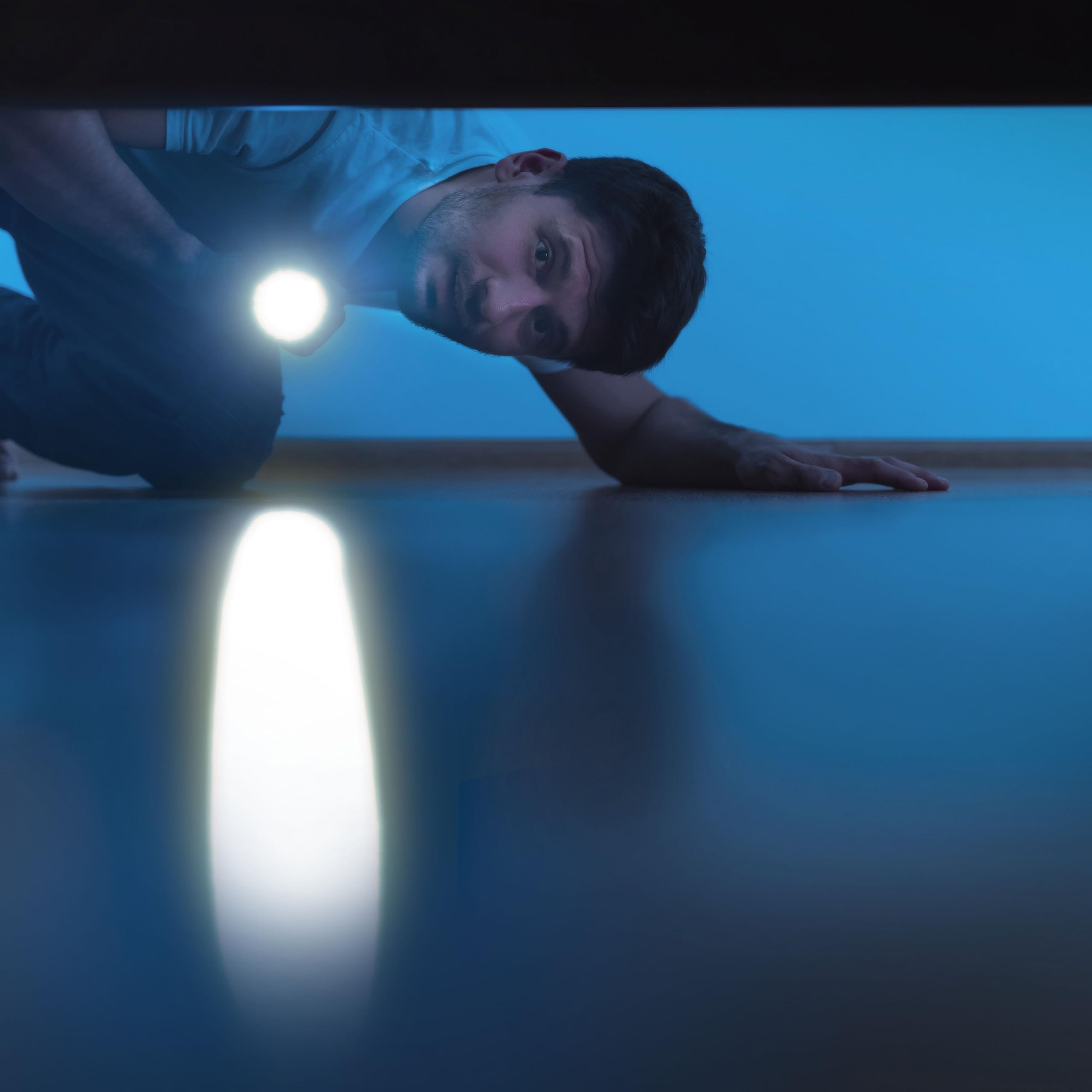 Ansmann DAILY USE Torcia LED - 4