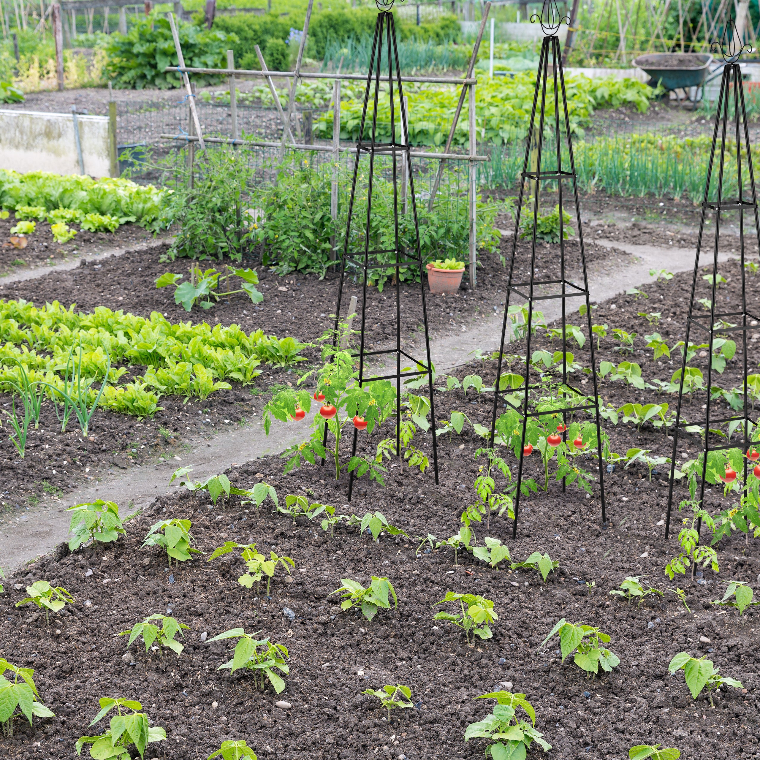 Trellis pyramide, 204 m de hauteur, Support pour plantes grimpantes, en métal, stable, tour pour rosier, noir, Relaxdays - 5