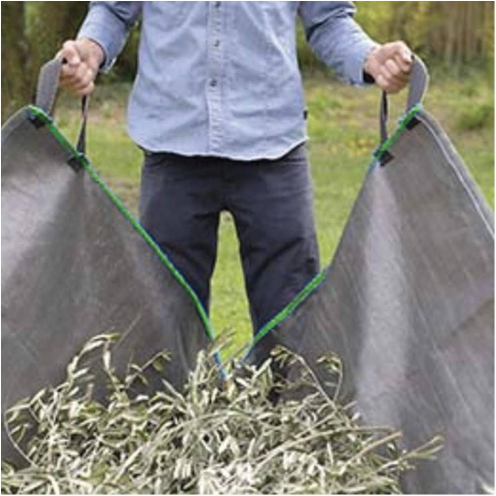 Ribimex RIBIMX - PRSACPL2 - Telone per Raccolta Fogliame - 2m x 2m - 3