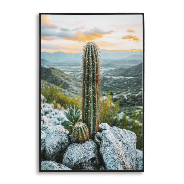 Impression sur Toile avec Cadre Cactus, Bois, Multicouleur, Seven Design