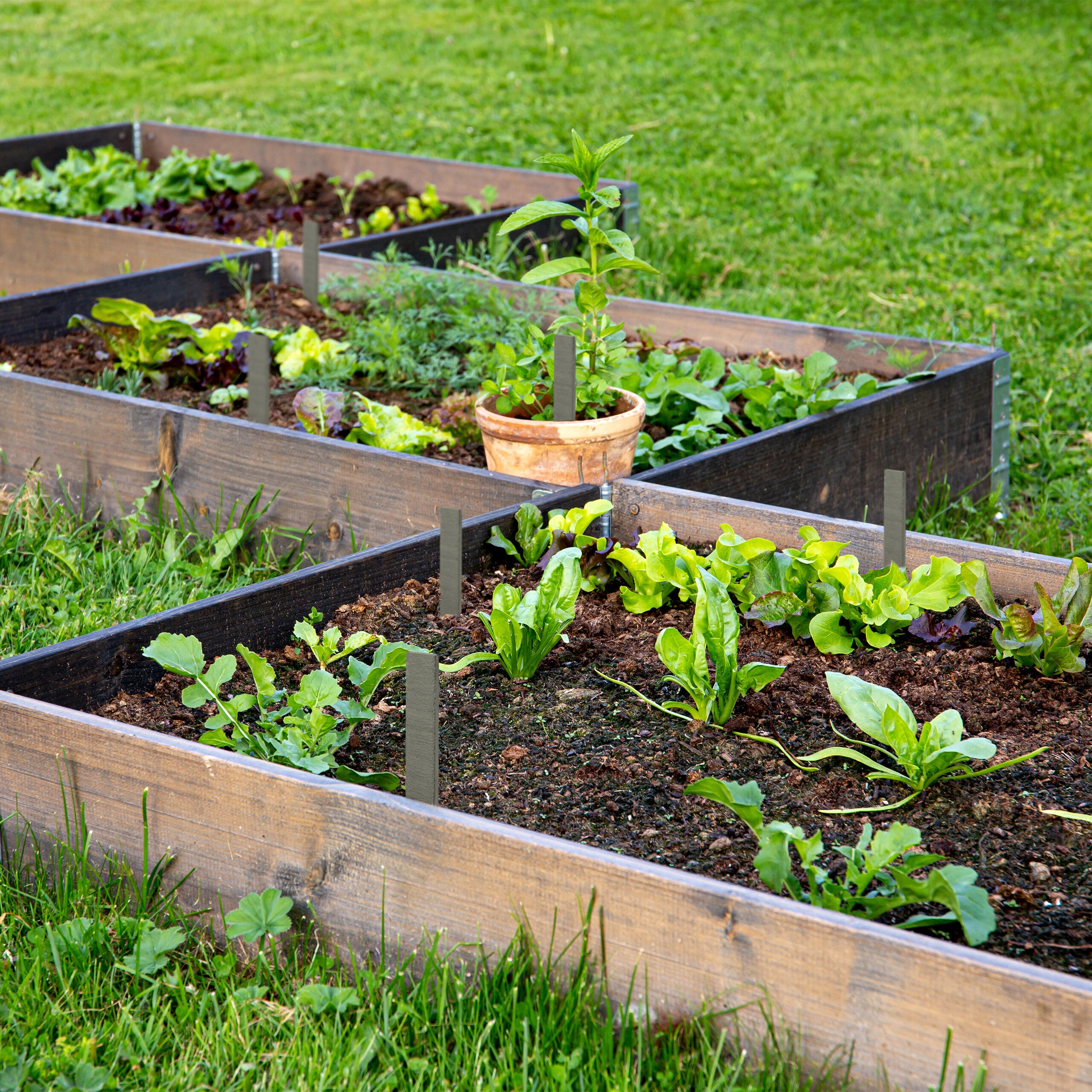 Étiquettes pour plantes en ardoise, lot de 10, inscriptibles pour jardin et potager, 20 x 3 x 0,5 cm, anthracite, Relaxdays - 5